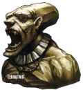 Teraktinus