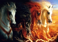 Chevaux magiques