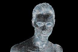 Statue de glace