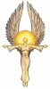 Symbole de Sarenrae